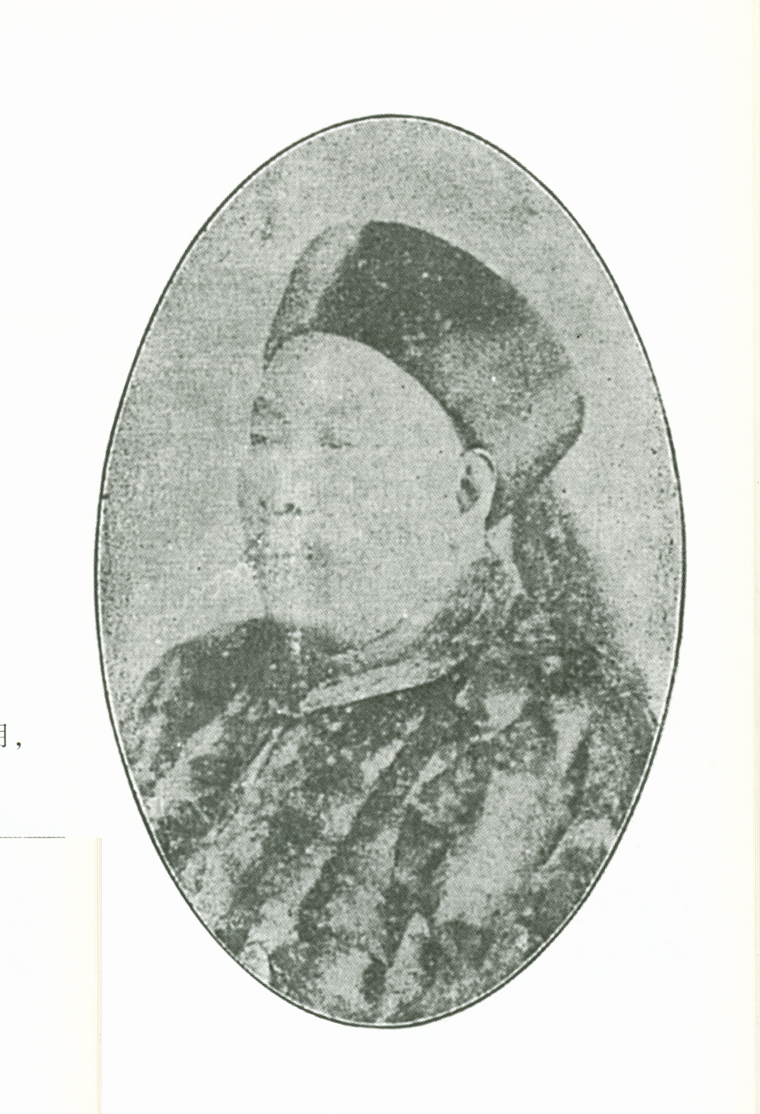 吴大澂